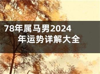 78年属马男2024年运势详解大全