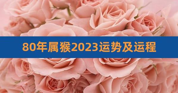 80年属猴2023运势及运程