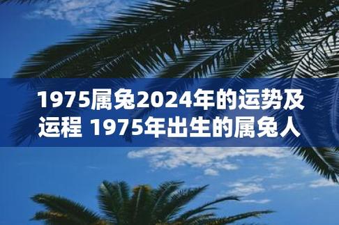 1975属兔2024年的运势及运程 1975年出生的属兔人2024年的运势如何