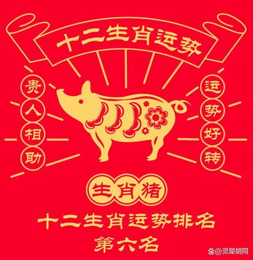 生肖猪在2024年运势不错,但也有坎坷.