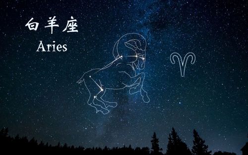 白陶陶星座解说白羊座_双子男与白羊女座配吗_白羊本周运势星座屋