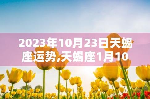 2023年10月23日天蝎座运势,天蝎座1月10日运势