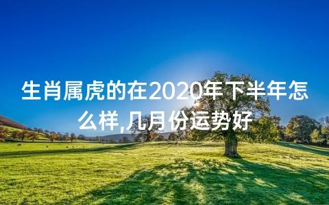 生肖属虎的在2023年下半年怎么样,几月份运势好