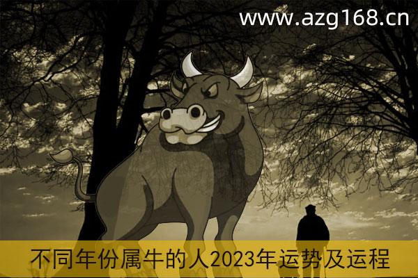 属牛2023年运势及运程详解 2023年属牛人的全年每月运势_祥安阁风水网