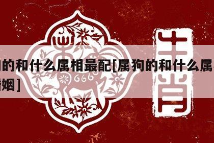 属狗配什么属相最好