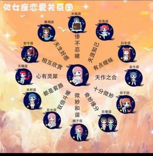 处女座对12星座关系表