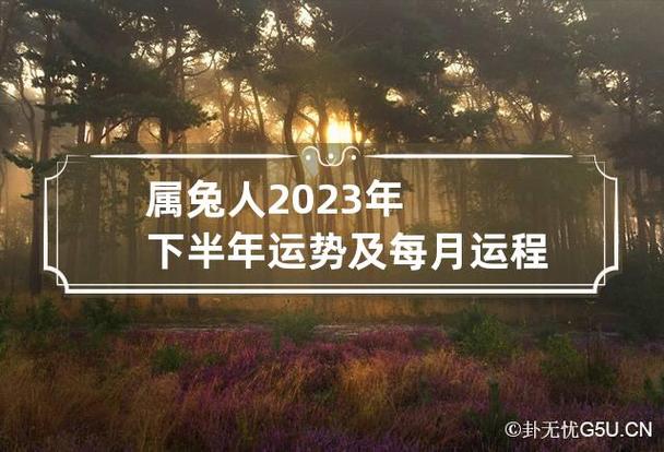 属兔人2023年下半年运势及每月运程 属兔2023年运势及运程_2023年属兔