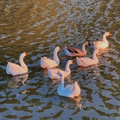 晓地都美食